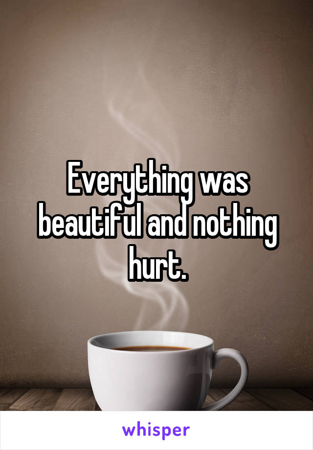 Everything was beautiful and nothing hurt.