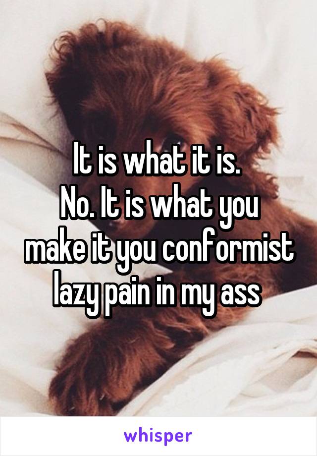 It is what it is. 
No. It is what you make it you conformist lazy pain in my ass 