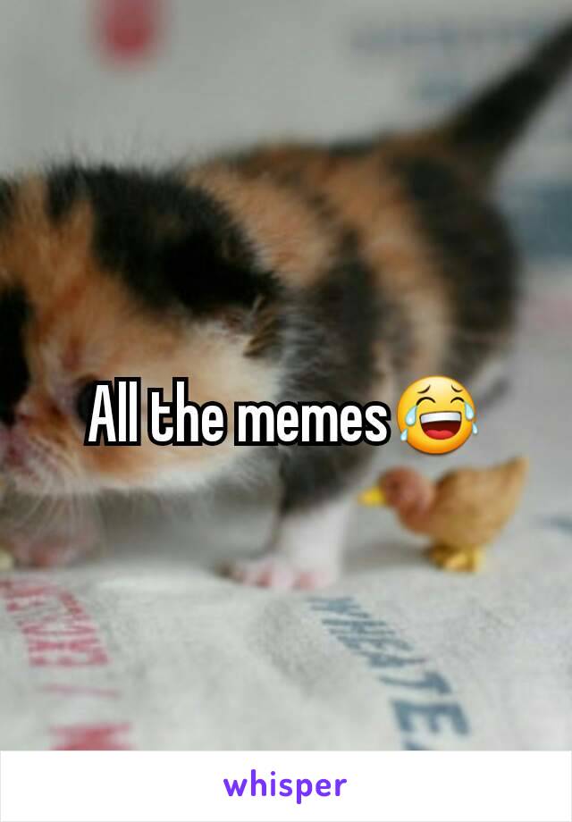 All the memes😂