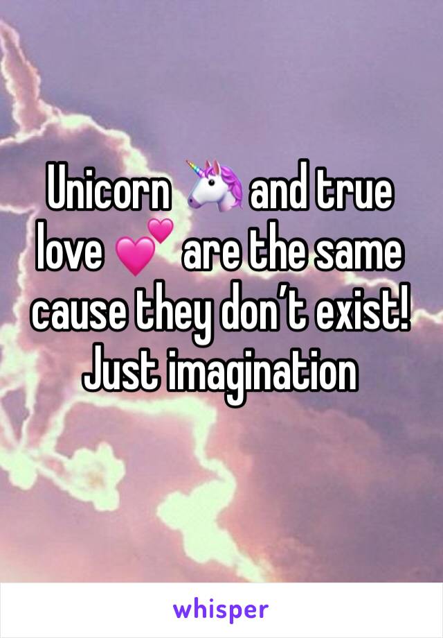 Unicorn 🦄 and true love 💕 are the same cause they don’t exist! Just imagination 