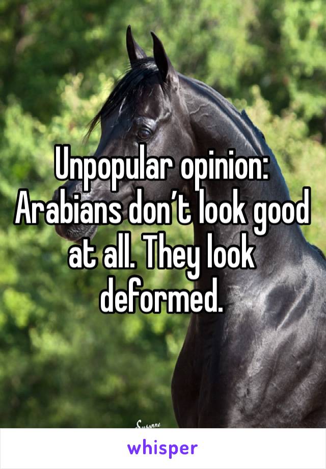 Unpopular opinion: Arabians don’t look good at all. They look deformed.