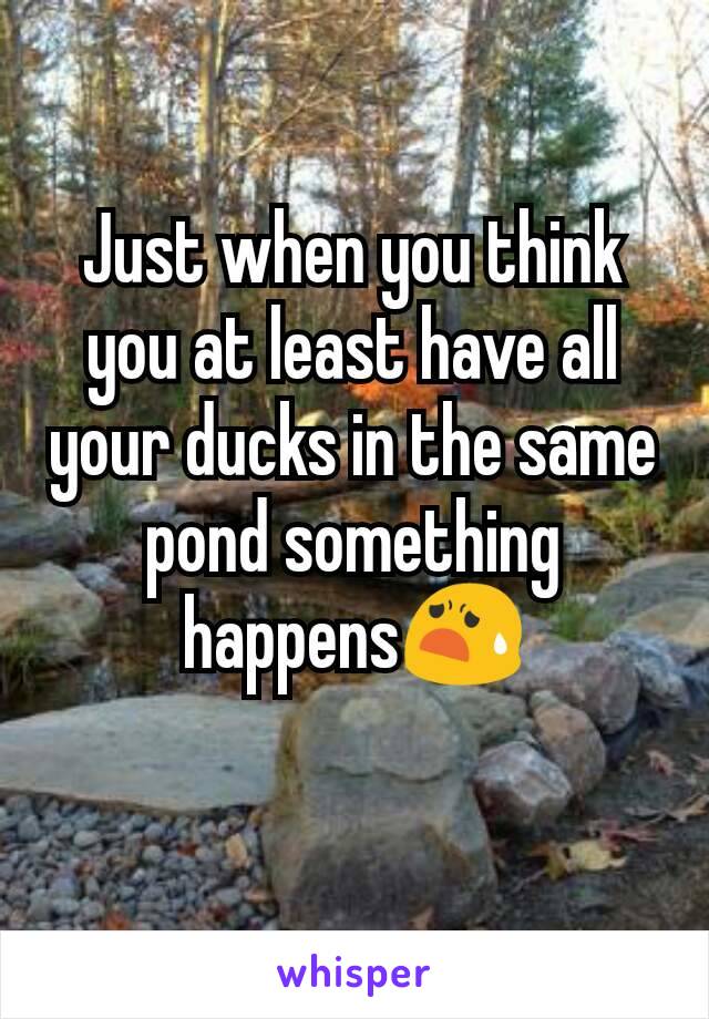 Just when you think you at least have all your ducks in the same pond something happens😧