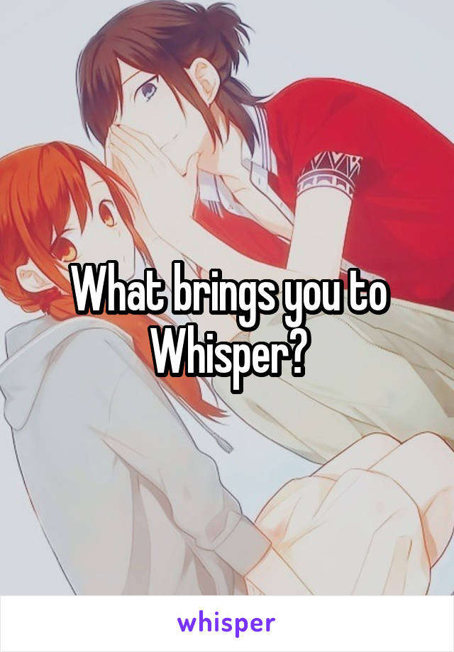 What brings you to Whisper?