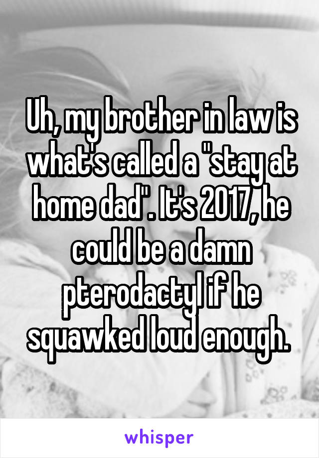 Uh, my brother in law is what's called a "stay at home dad". It's 2017, he could be a damn pterodactyl if he squawked loud enough. 