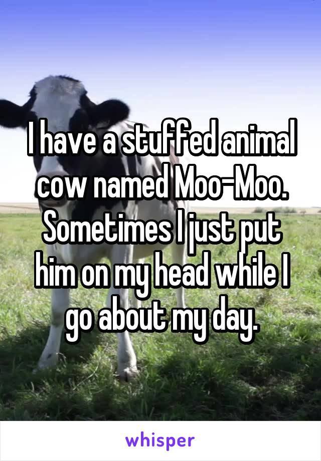 I have a stuffed animal cow named Moo-Moo. Sometimes I just put him on my head while I go about my day.
