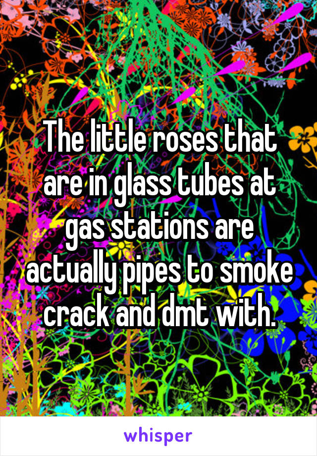 The little roses that are in glass tubes at gas stations are actually pipes to smoke crack and dmt with.
