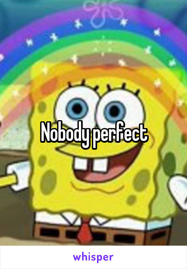Nobody perfect