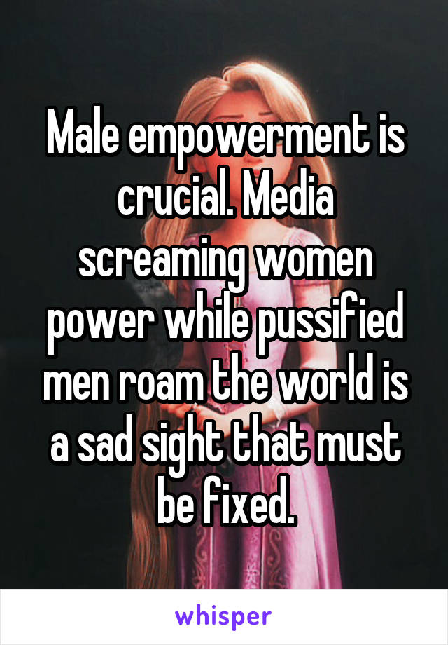 Male empowerment is crucial. Media screaming women power while pussified men roam the world is a sad sight that must be fixed.