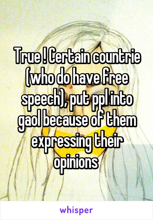 True ! Certain countrie (who do have free speech), put ppl into gaol because of them expressing their opinions 