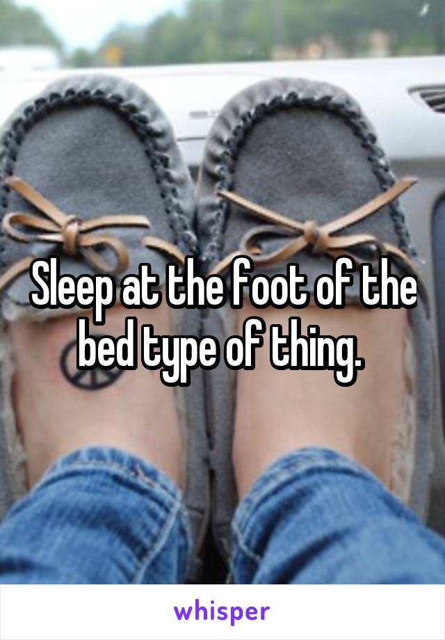 Sleep at the foot of the bed type of thing. 
