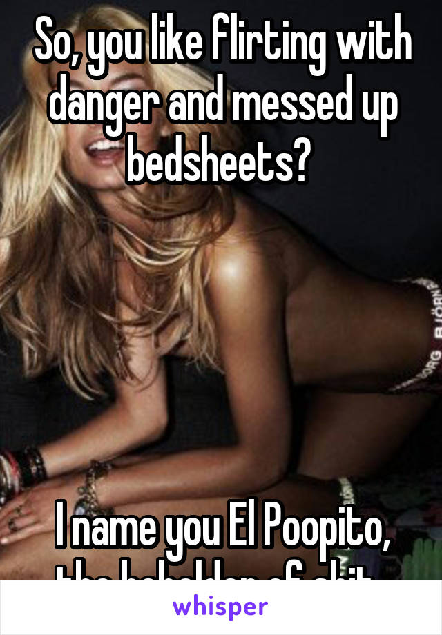 So, you like flirting with danger and messed up bedsheets? 





I name you El Poopito, the beholder of shit. 