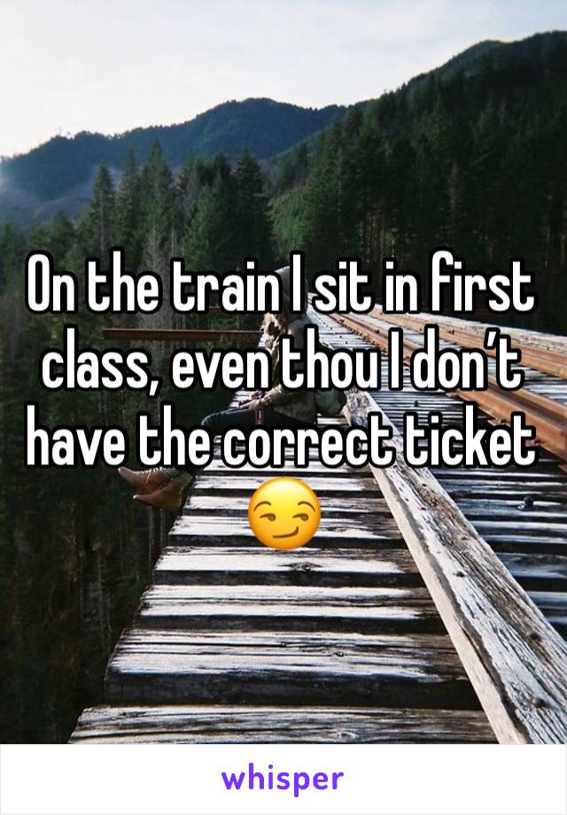On the train I sit in first class, even thou I don’t have the correct ticket 😏