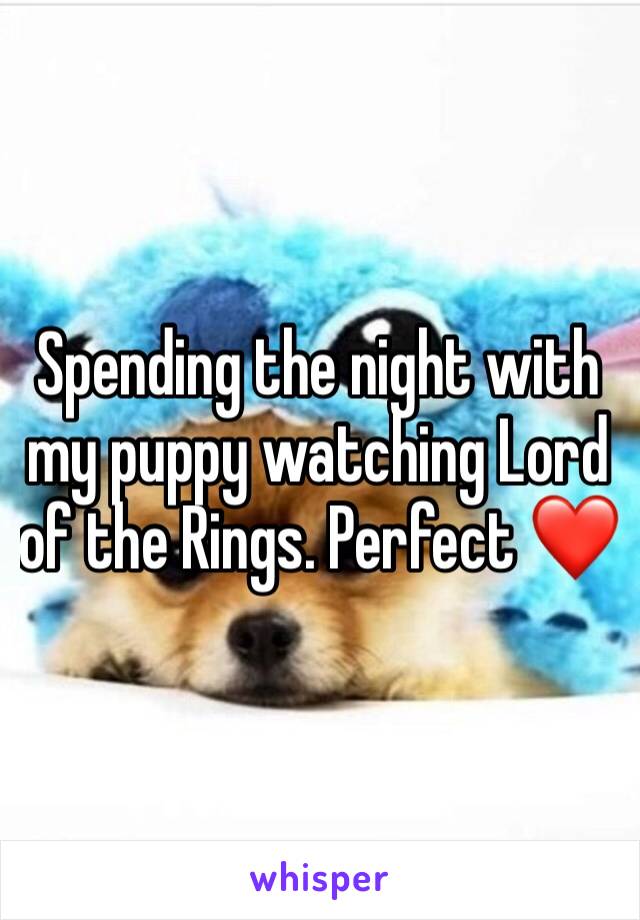 Spending the night with my puppy watching Lord of the Rings. Perfect ❤️
