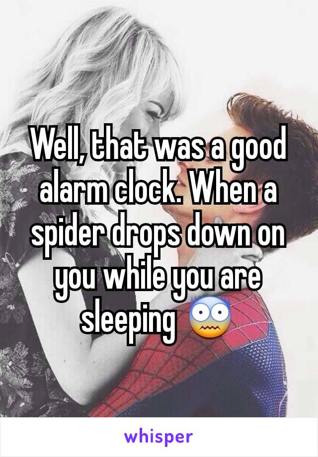 Well, that was a good alarm clock. When a spider drops down on you while you are sleeping 😨