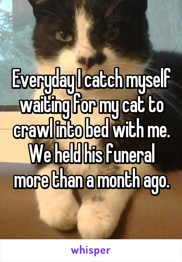 Everyday I catch myself waiting for my cat to crawl into bed with me.
We held his funeral more than a month ago.
