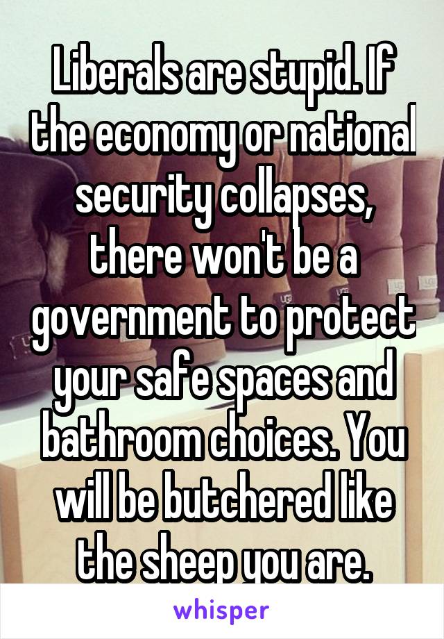 Liberals are stupid. If the economy or national security collapses, there won't be a government to protect your safe spaces and bathroom choices. You will be butchered like the sheep you are.