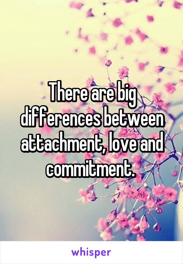 There are big differences between attachment, love and commitment. 