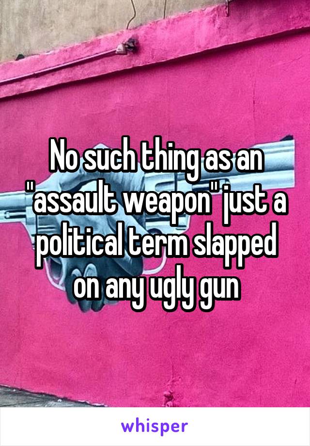 No such thing as an "assault weapon" just a political term slapped on any ugly gun