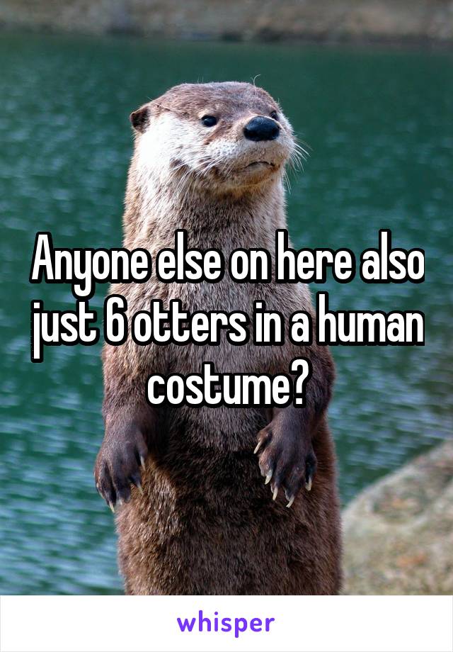 Anyone else on here also just 6 otters in a human costume?