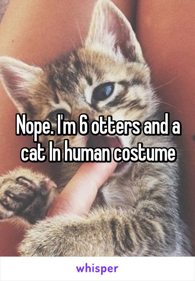 Nope. I'm 6 otters and a cat In human costume