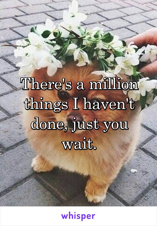 There's a million things I haven't done, just you wait.