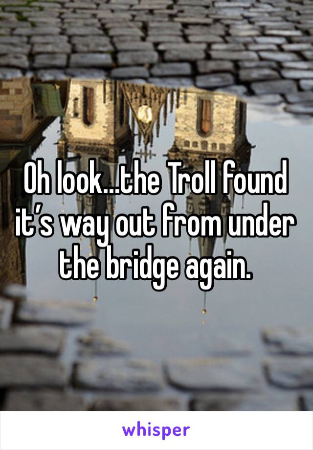 Oh look...the Troll found it’s way out from under the bridge again.