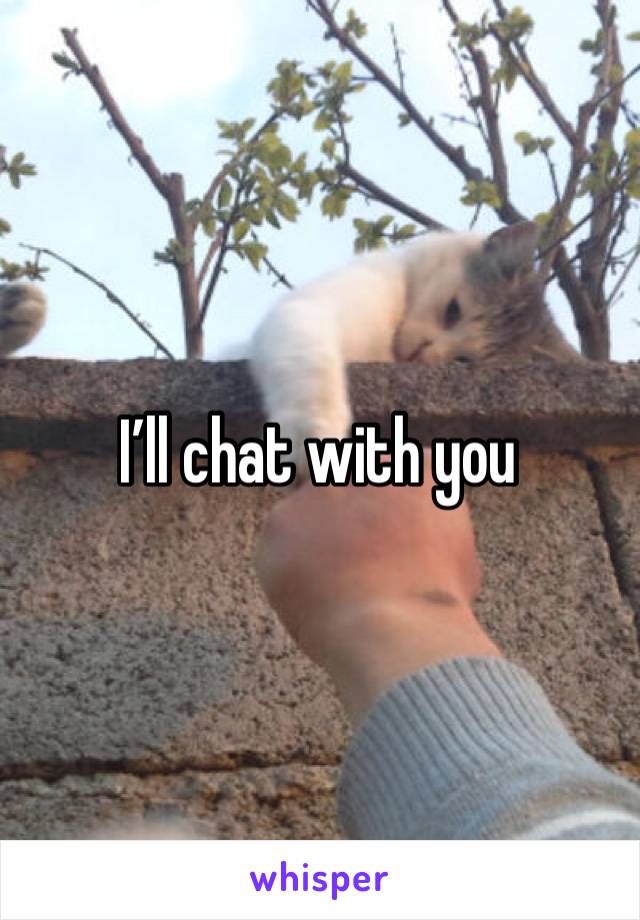 I’ll chat with you