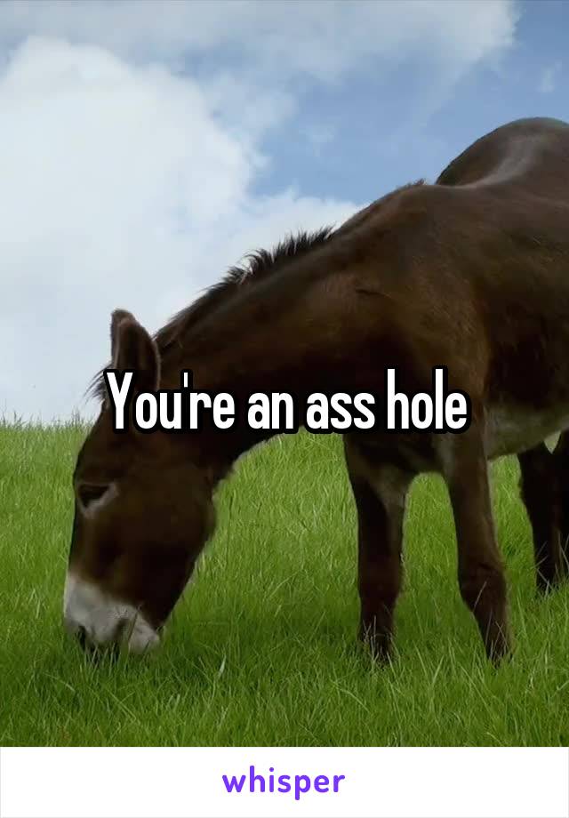 You're an ass hole