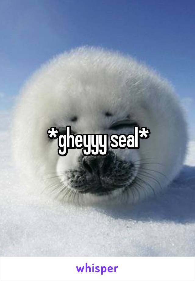 *gheyyy seal*