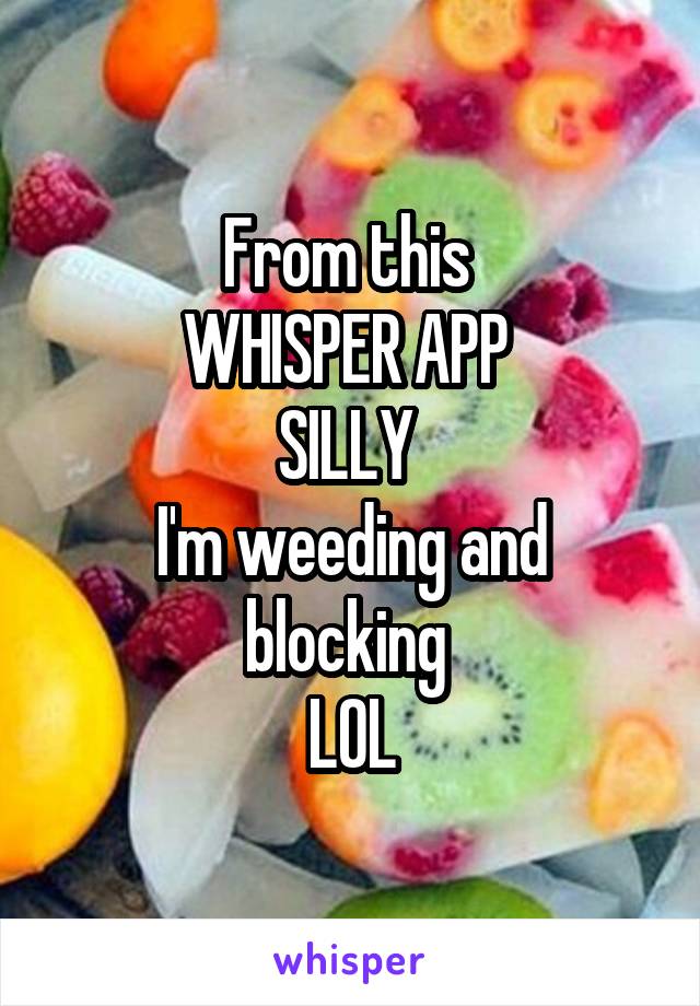 From this 
WHISPER APP 
SILLY 
I'm weeding and blocking 
LOL