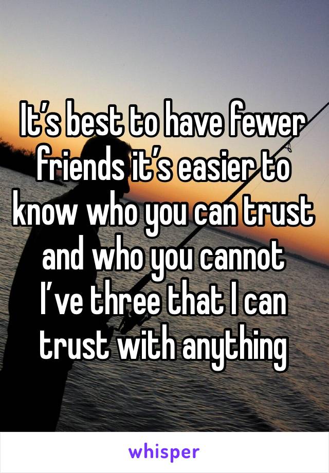 It’s best to have fewer friends it’s easier to know who you can trust and who you cannot
I’ve three that I can trust with anything