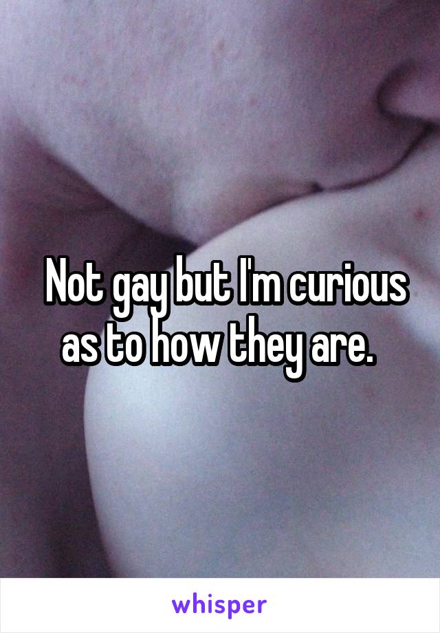 Not gay but I'm curious as to how they are. 