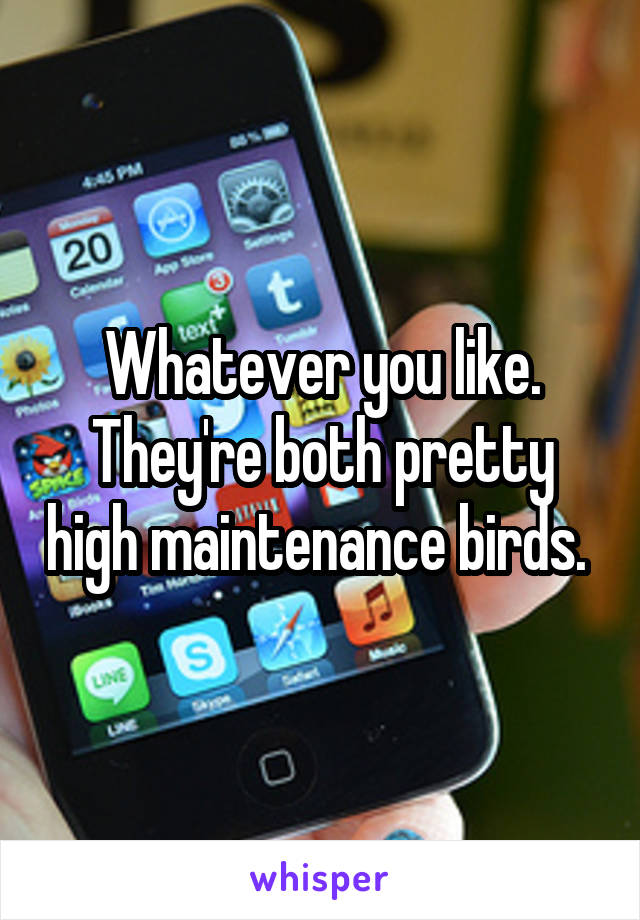 Whatever you like. They're both pretty high maintenance birds. 