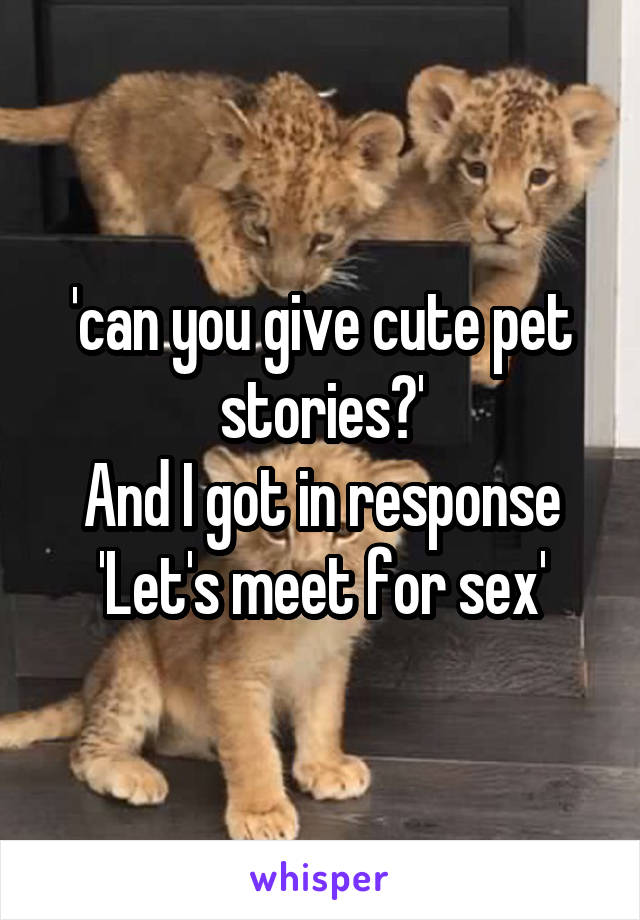 'can you give cute pet stories?'
And I got in response 'Let's meet for sex'
