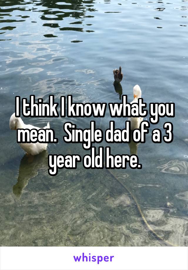 I think I know what you mean.  Single dad of a 3 year old here.