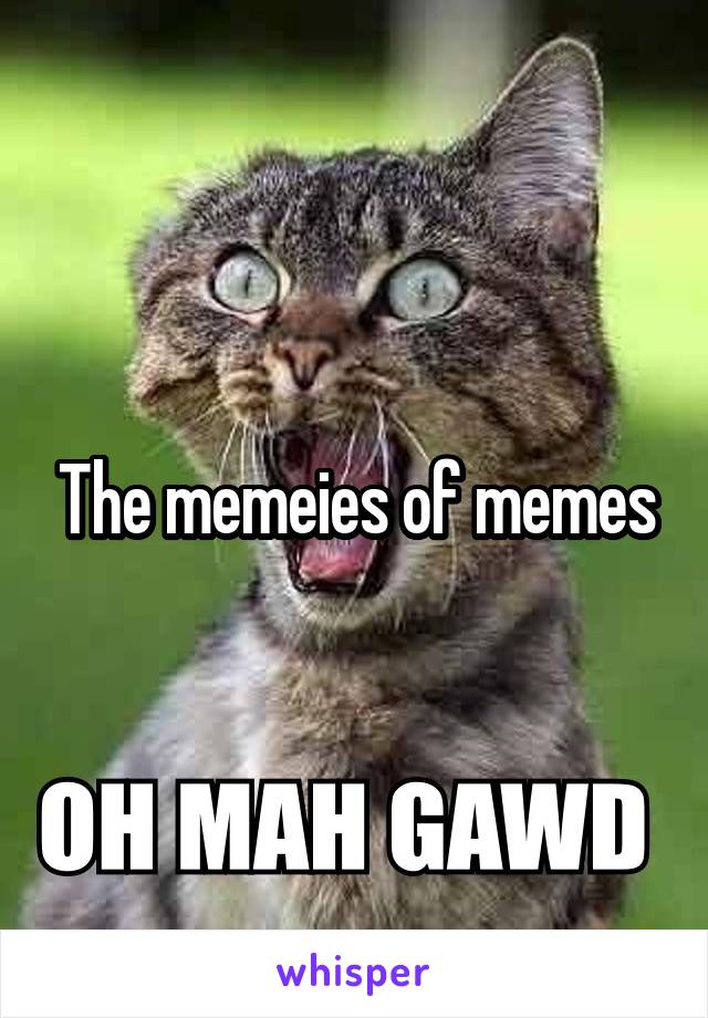 The memeies of memes