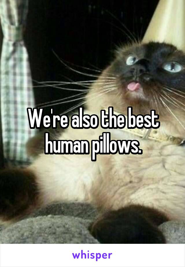 We're also the best human pillows.