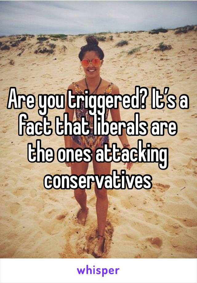 Are you triggered? It’s a fact that liberals are the ones attacking conservatives 