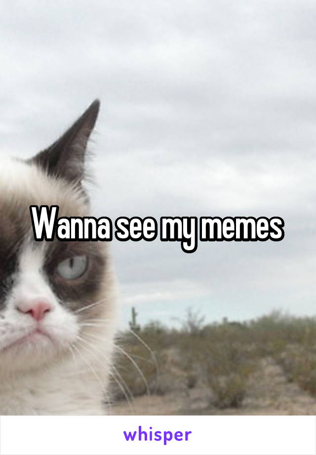 Wanna see my memes 