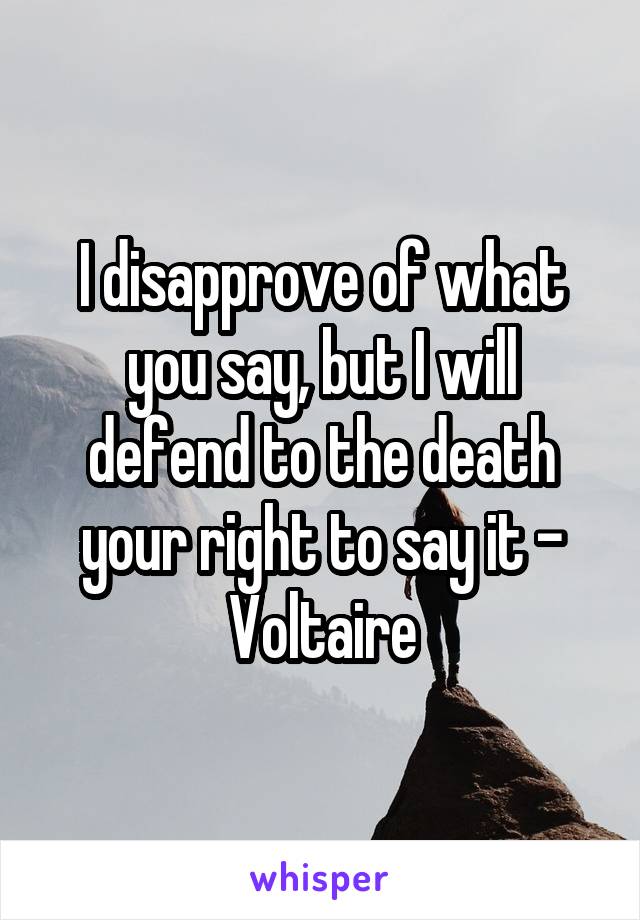 I disapprove of what you say, but I will defend to the death your right to say it - Voltaire
