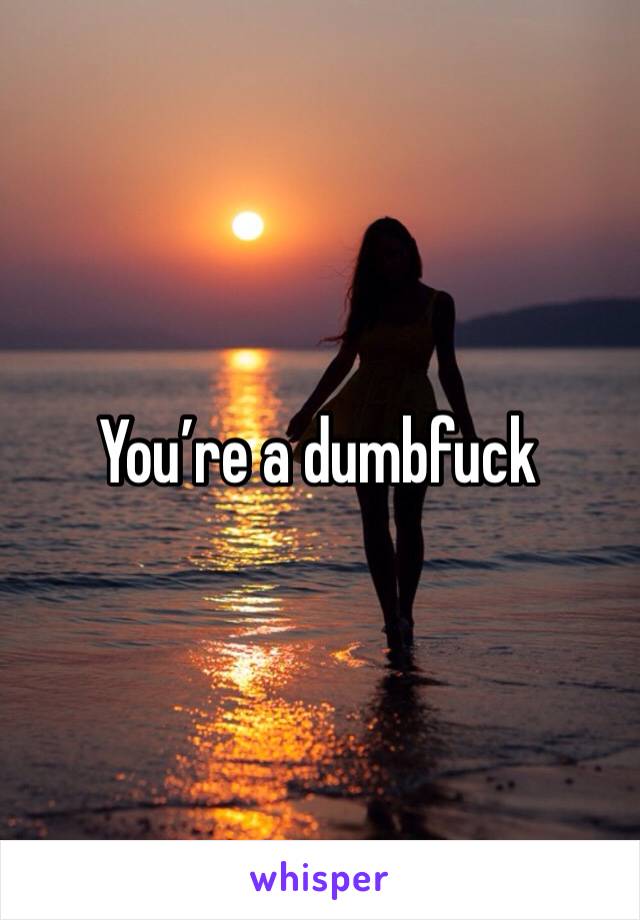 You’re a dumbfuck