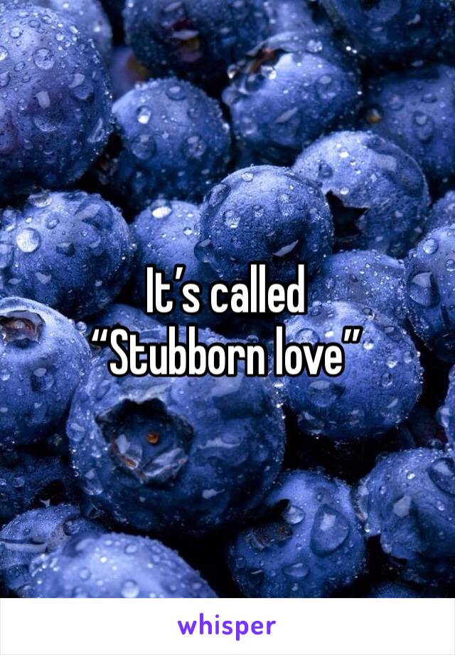 It’s called “Stubborn love” 