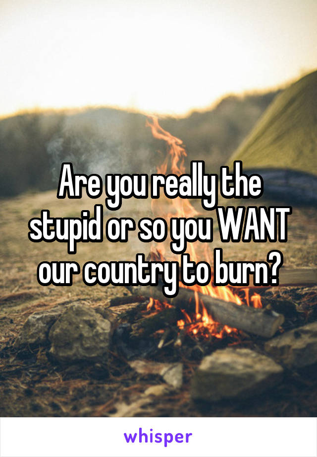 Are you really the stupid or so you WANT our country to burn?