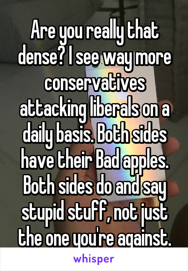 Are you really that dense? I see way more conservatives attacking liberals on a daily basis. Both sides have their Bad apples. Both sides do and say stupid stuff, not just the one you're against.