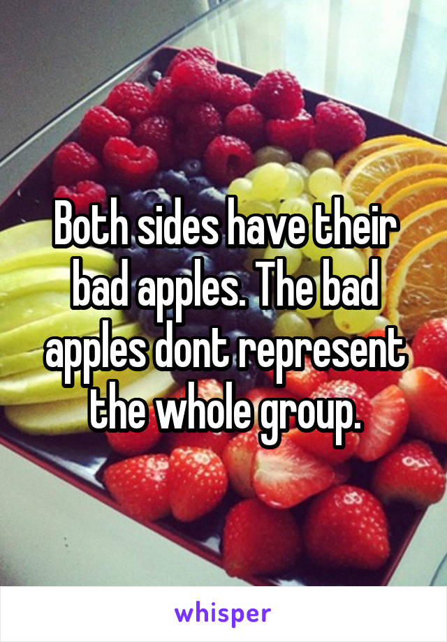 Both sides have their bad apples. The bad apples dont represent the whole group.