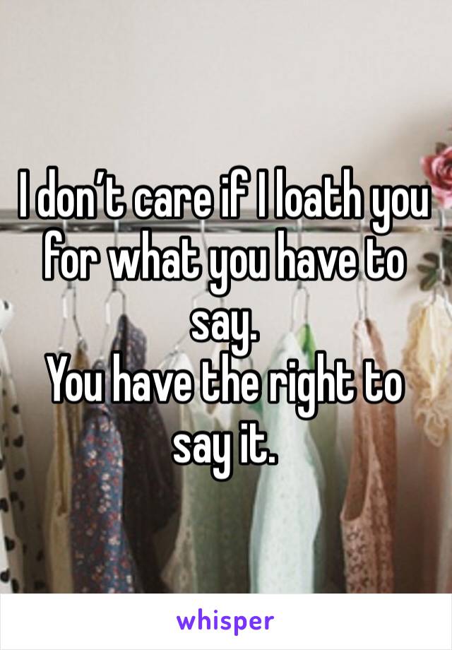 I don’t care if I loath you for what you have to say.
You have the right to say it.