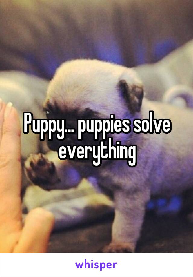 Puppy... puppies solve everything