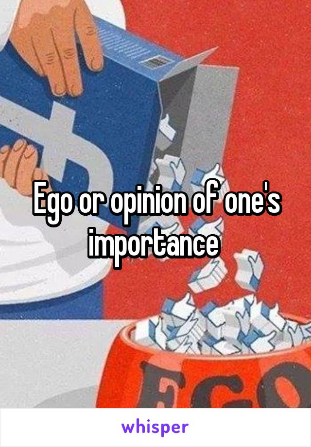 Ego or opinion of one's importance 