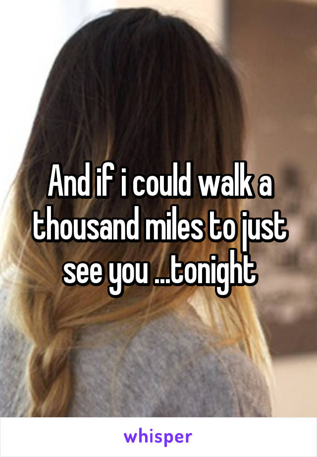 And if i could walk a thousand miles to just see you ...tonight