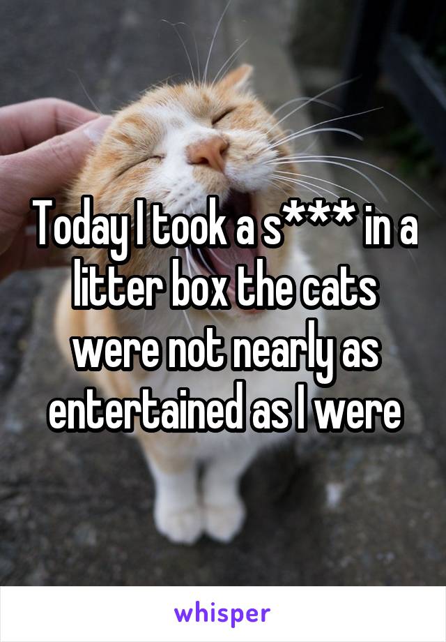 Today I took a s*** in a litter box the cats were not nearly as entertained as I were